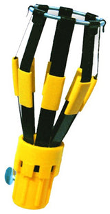 Specialty Bulbs