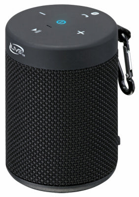 Portable Audio