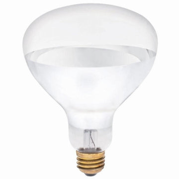 Halogen Bulbs