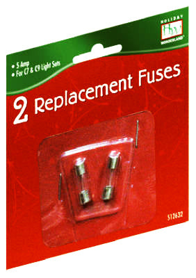 Glass Fuses