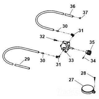 Gear Pumps