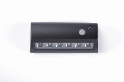 BRZ 6LED Mot Path Light