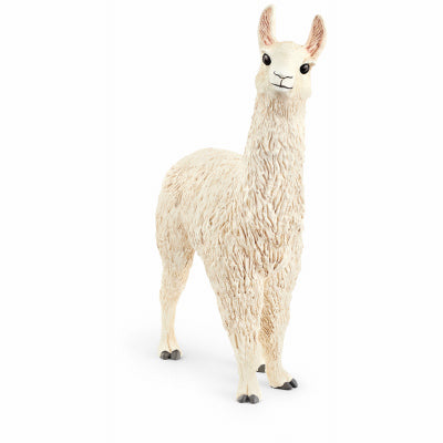 WHT Llama