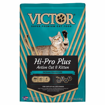 CAT Food, DRY