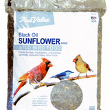 Jrk Seed & Turf Supply B115910 TV 10LB SunFLWR Seed