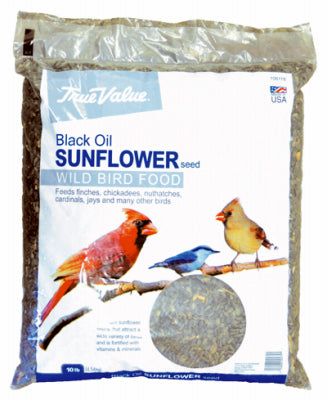 Jrk Seed & Turf Supply B115910 TV 10LB SunFLWR Seed