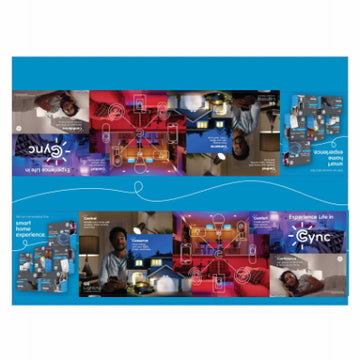 Promotional Display/BIN Organizer