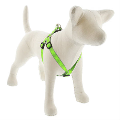 LUPINE INC 48144 3/4x15-21GD Dog Harness