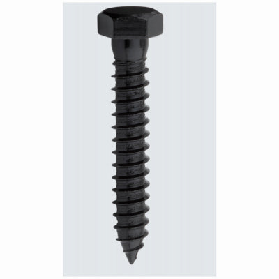 1/2x3 Lag Screw