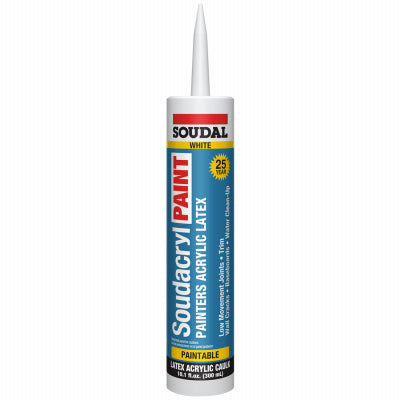 146729 10.1OZ WHT Paint Caulk