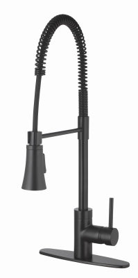 Homewerks Worldwide Llc-Import 109730 HP MB SGL Kitch Faucet
