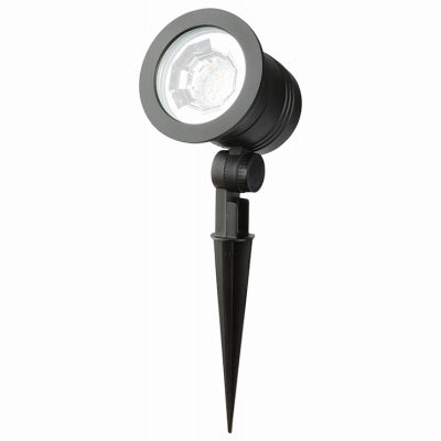 100L Spotlight