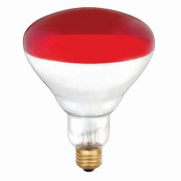 HEAT Lamps