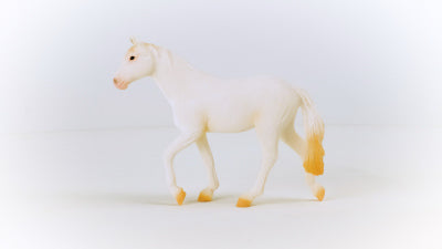 Camarillo Mare