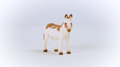 American Spotted Donkey