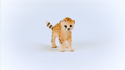 Cheetah Cub
