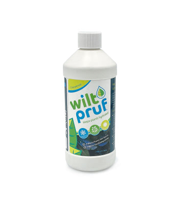 PT Anti Transpirant