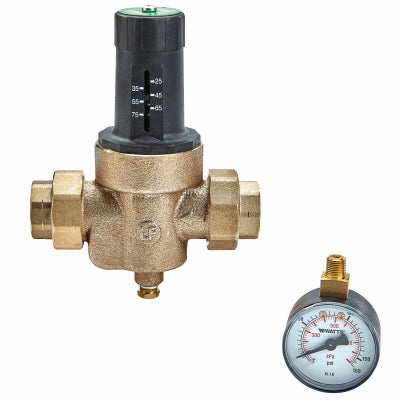 Watts Brass & Tubular 3/4 LFN45BM1-DU-EZ-GG 3/4 WTR Press Valve