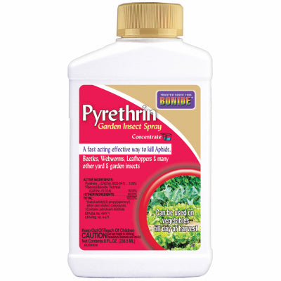 8OZ Conc GDN Spray
