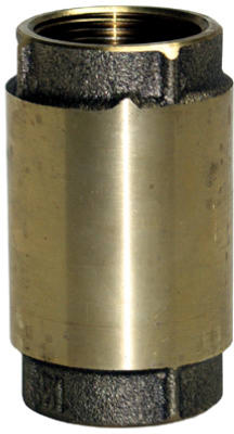 2" BRS Check Valve