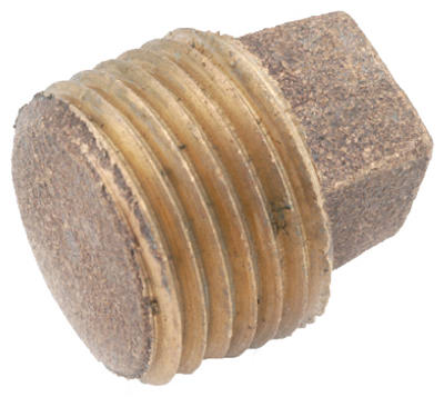 1/4"BRS Solid Pipe Plug