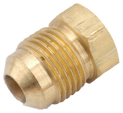1/2" BRS FL Plug