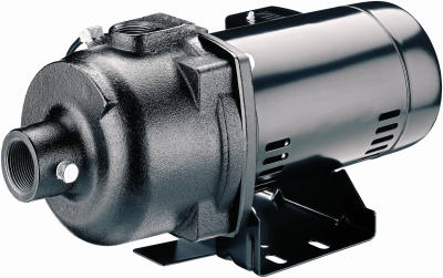 Pentair Water 123357 MP1/2HP Shall Well Pump