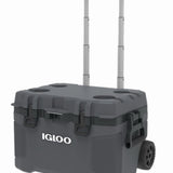 Igloo Corporation 34939 52QT Carb Roll Cooler