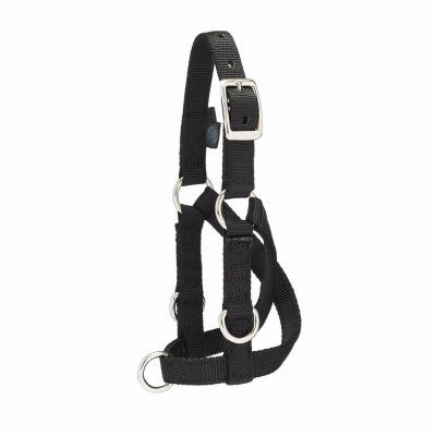 Sheep/Goat Train Halter