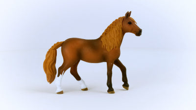 Paso Peruano Mare