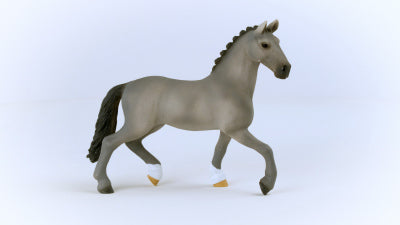 Cheval de Selle Francai
