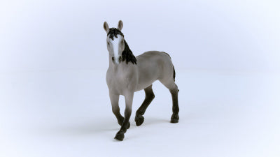 Cheval deselle Stallion