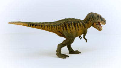 Tarbosaurus