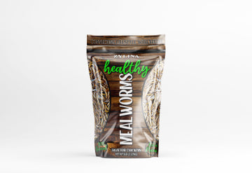 5LB Healthy Mealworms