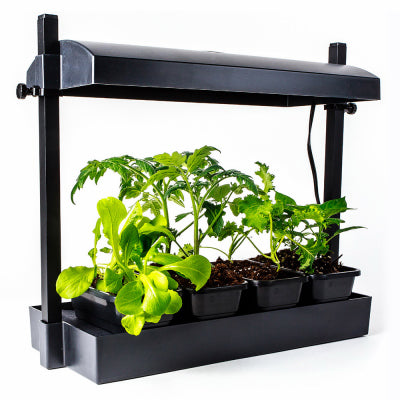 HYDROFARM SL1600218 LEDGrowlight MicroBlack