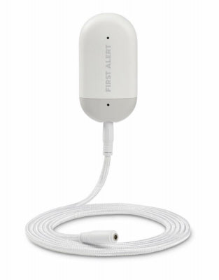 WiFi Leak Detector