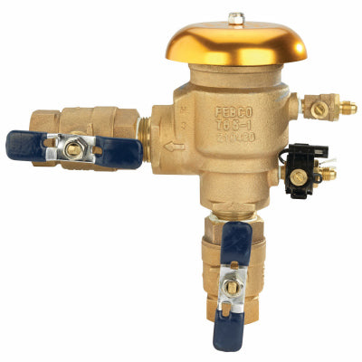 WATTS 765EBV-FZ 1 1" Press Vac Breaker