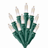 Specialty Lights