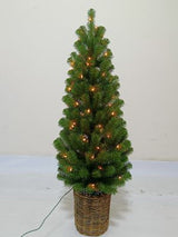 Christmas Trees, 3 to 6 FT