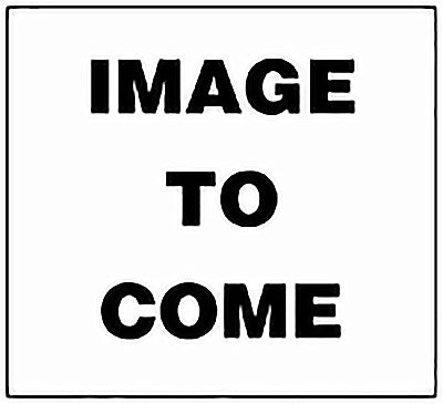 2PK 2-1/4" T27 Scrw Bit