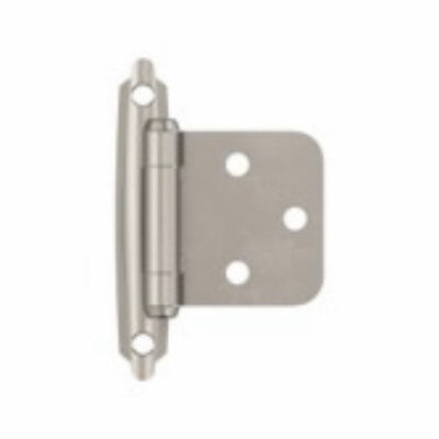 10PK SN VAR Hinge