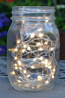 Holiday Bright Lights BLMIC100SWW 100L B/O Micro Light