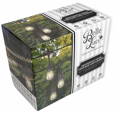 Holiday Bright Lights BLS1410WW 10L LED Vint Light Set