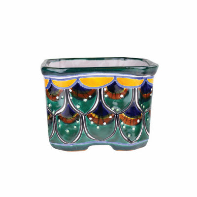 Syndicate Home & Garden APG026060-04-2113 6" Peacock Cuadrada