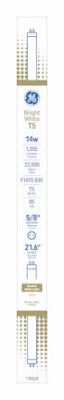 GE 14W BW Fluor Bulb