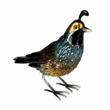 SLR California Quail