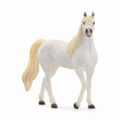 Arab Mare