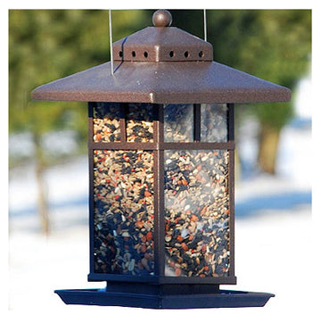 Lantern Feeders