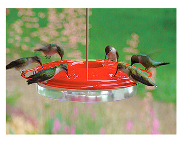 Hummingbird Feeders