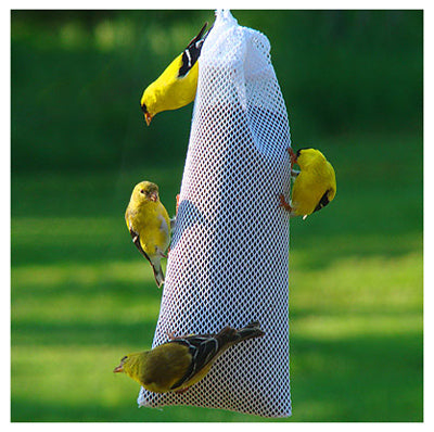 Thistle Sock Feeder